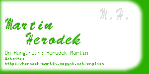 martin herodek business card